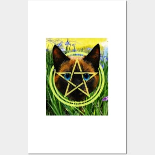 The Ace of Pentacles Posters and Art